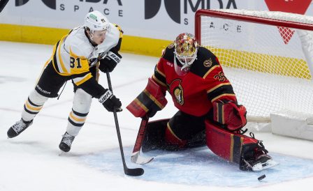 article image - Penguins Senators Hockey